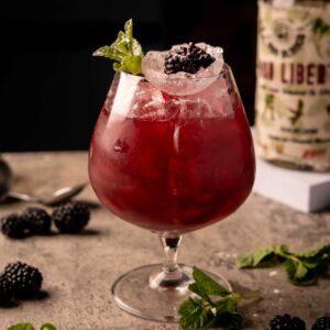 Mariposas La Reina, a deep berry cocktail over crushed ice with fresh blackberries and a mint sprig.